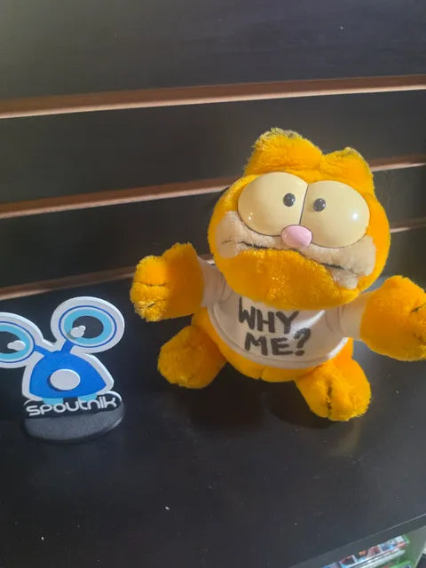 TOUTOU GARFIELD WHY ME ?