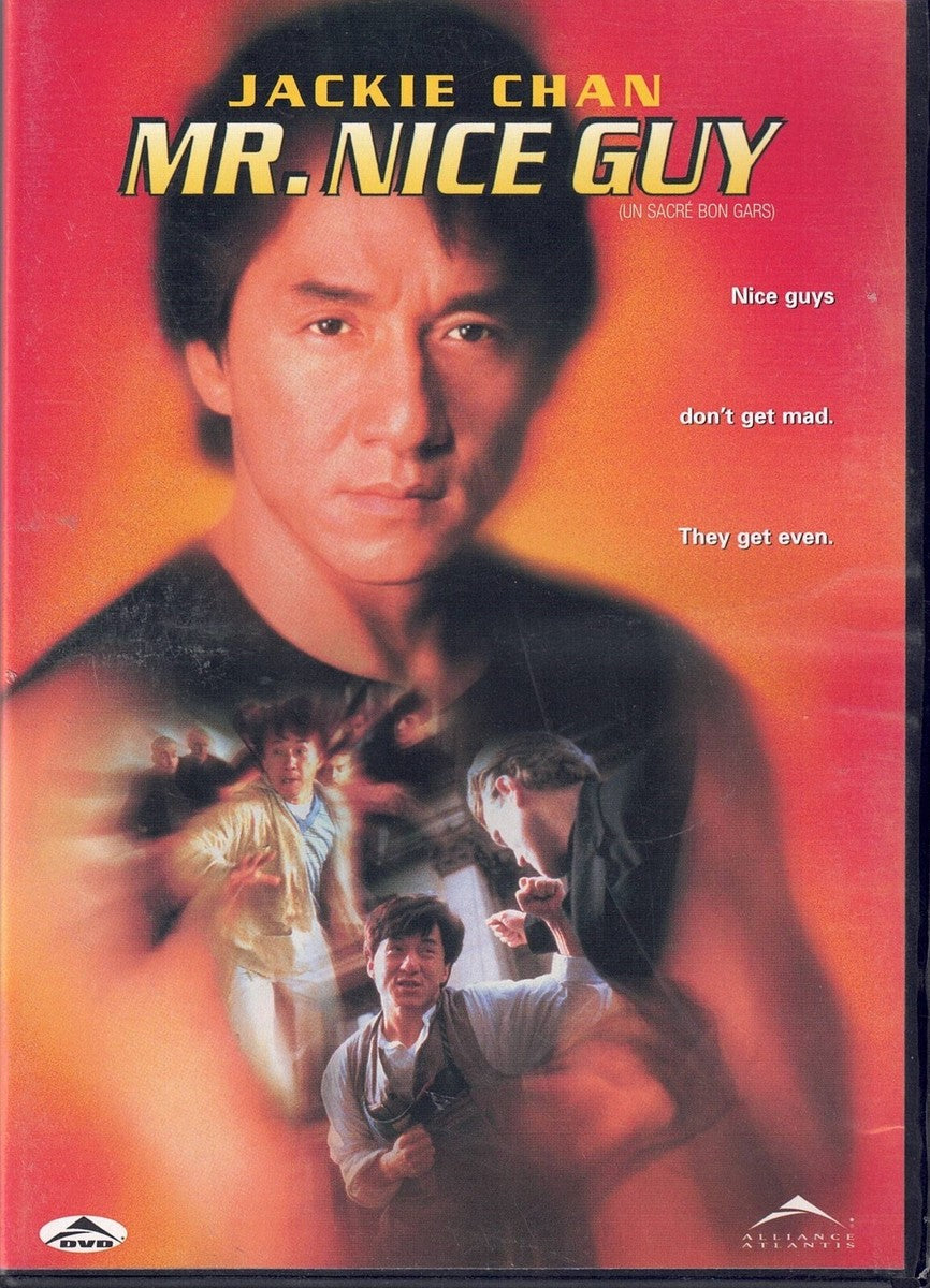 UN SACRÉ BON GARS FILM DVD