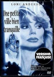 UNE PETITE VILLE BIEN TRANQUILLE DVD FILMS