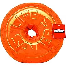 LIFE SAVERS ORANGE PILLOW AUTRES