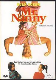 MR. NANNY DVD