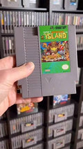 ADVENTURE ISLAND NINTENDO NES
