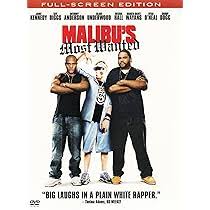 FILM LE TRUAND DE MALIBU DVD