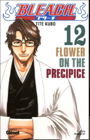 BLEACH TOME 12 FLOWER ON THE PRECIPICE PAR TITE KUBO LIVRES MANGA