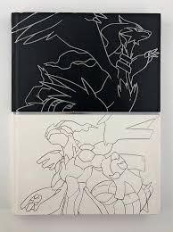 POKEMON BLACK &POKEMON WHITE VERSION GUIDES